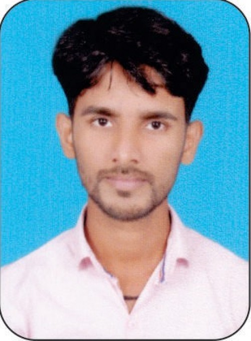Mr. N.N. Javalekar